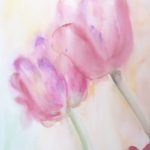 tulipanes a la acuarela